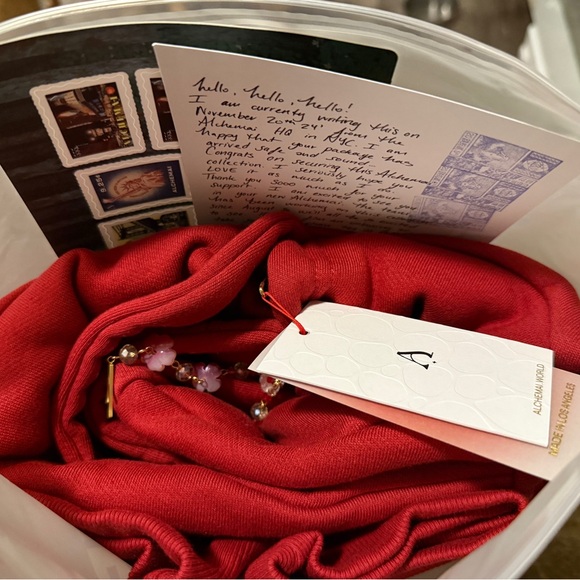 Alchemai Red Hoodie - Picture 3 of 5